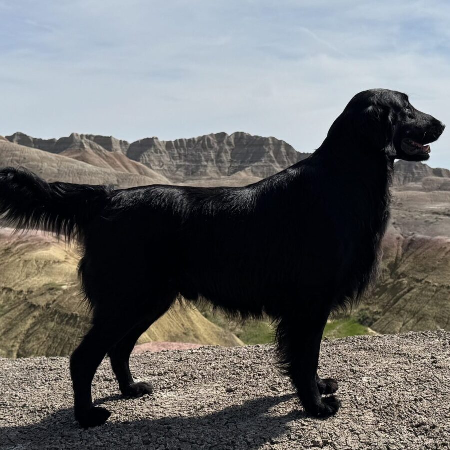 Yukon